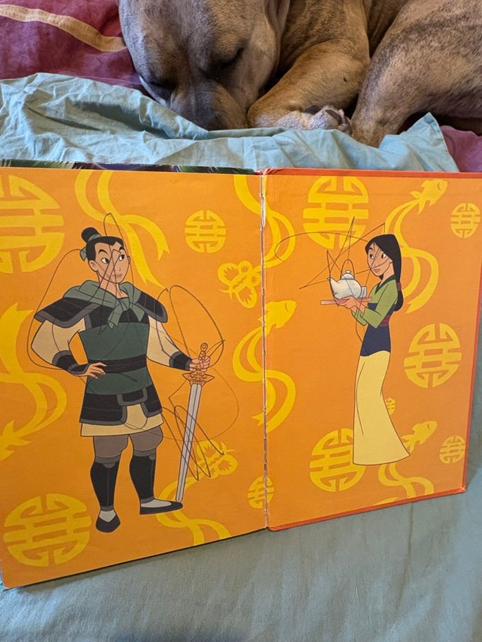 Mulan - photo numéro 5