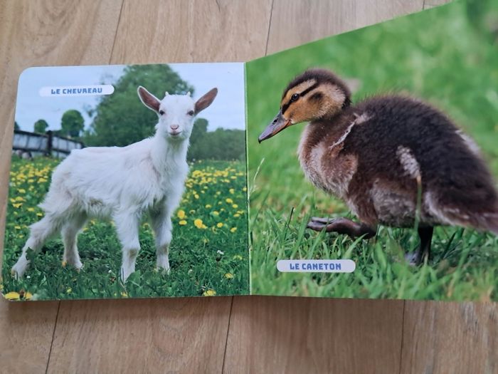 Livre cartonné bébés animaux - photo numéro 3