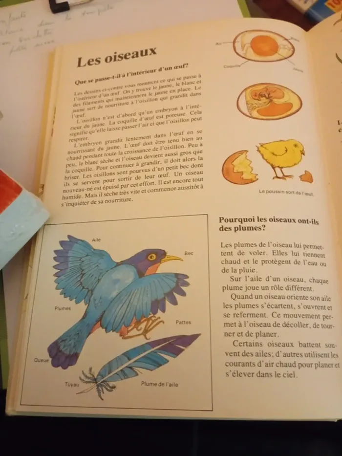 400 questions 400 réponses à tout - photo numéro 3