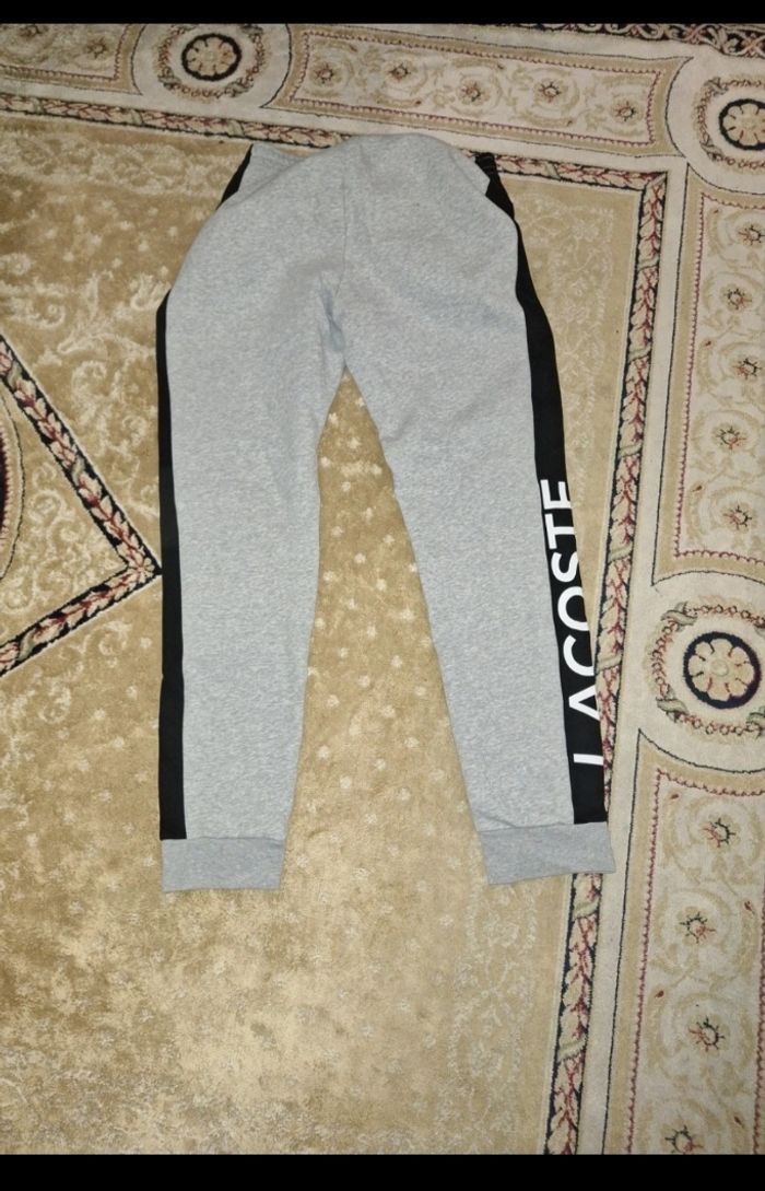 Pantalon lacoste rare - photo numéro 3
