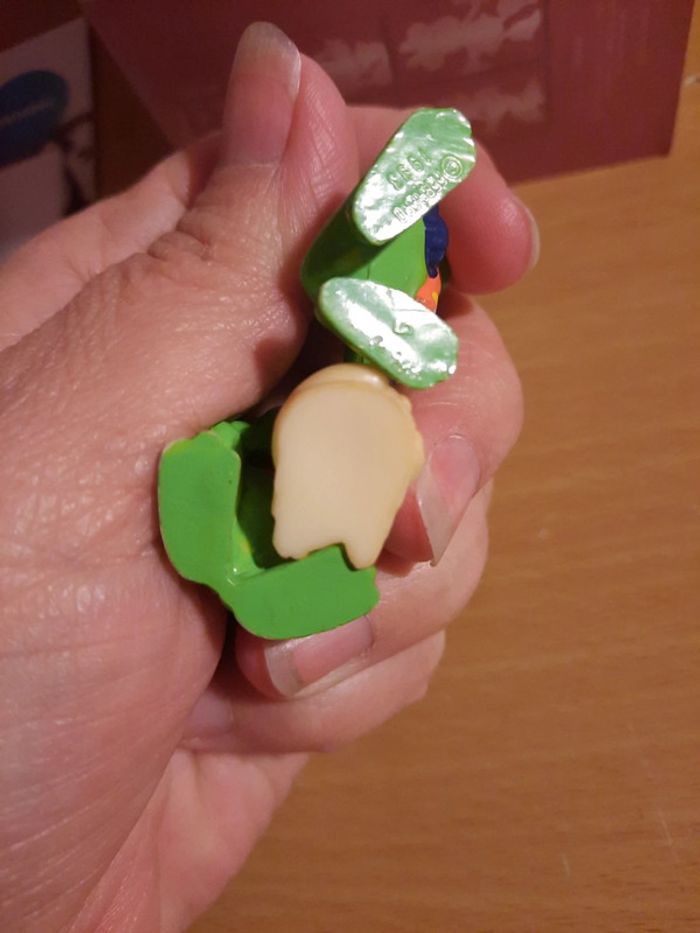 Grenouille - photo numéro 3