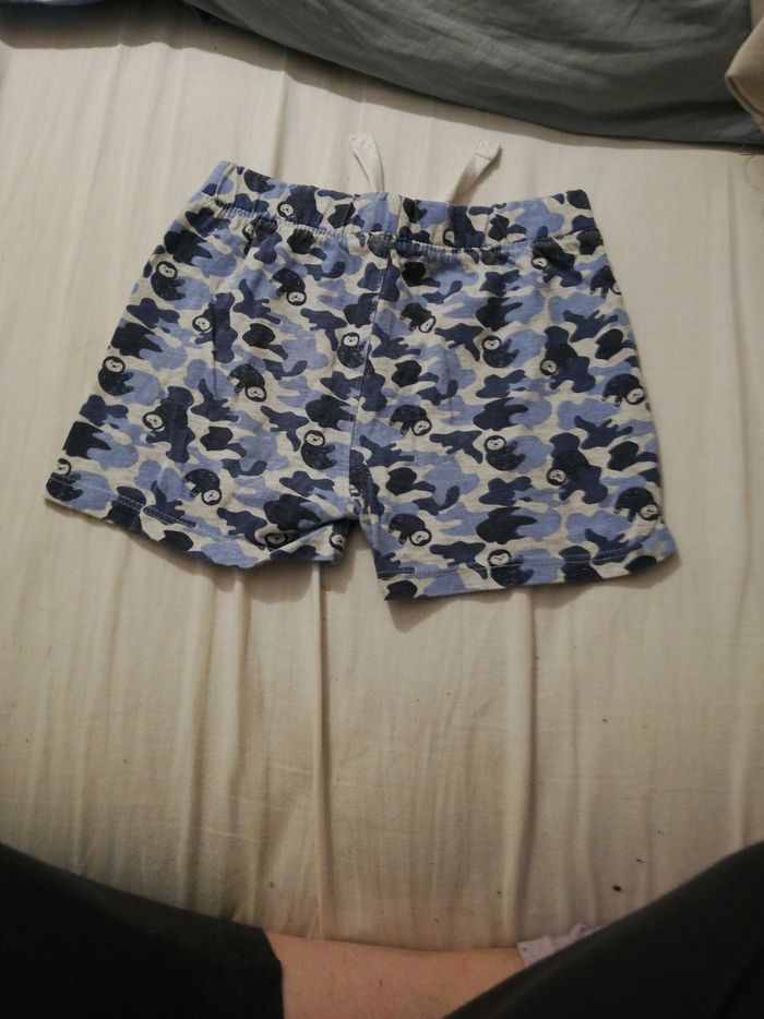 Short paresseux - photo numéro 2