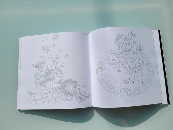 Livre créatif Alice au pays des Merveilles, Carnet de coloriage et voyage imaginaire antistress - photo numéro 8