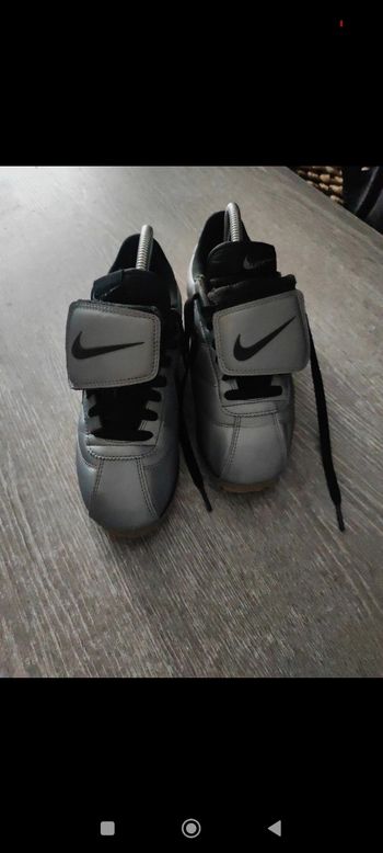 Cortez gris argenté
