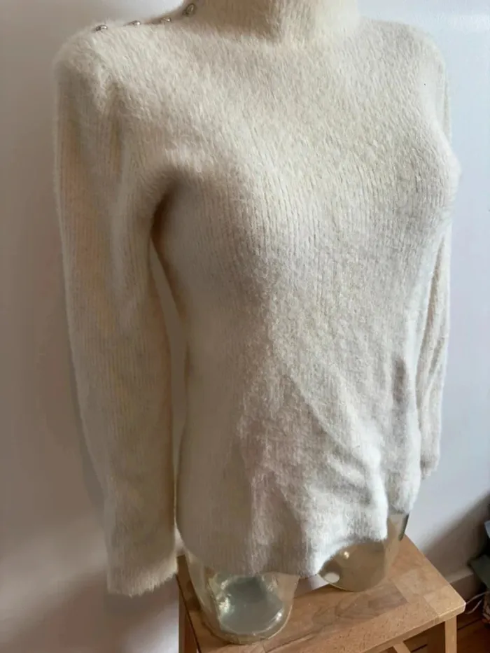 Pull Morgan - photo numéro 5