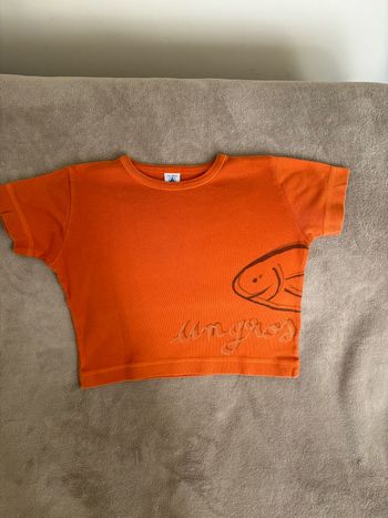 TeeShirt PETIT BATEAU Taille 2 ans