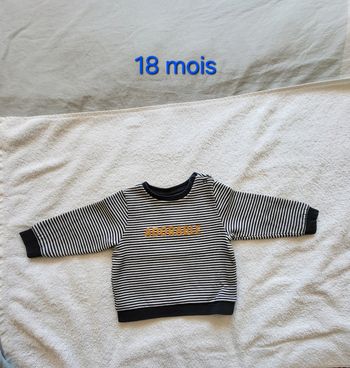 Pull rayé bleu et blanc TAO 18 mois