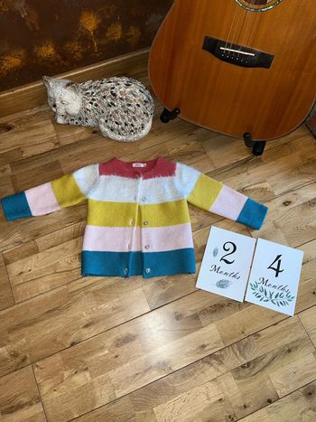 Gilet coloré très bon état gemo 24mois