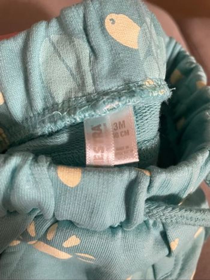 2 shorts été bébé 3M - photo numéro 4