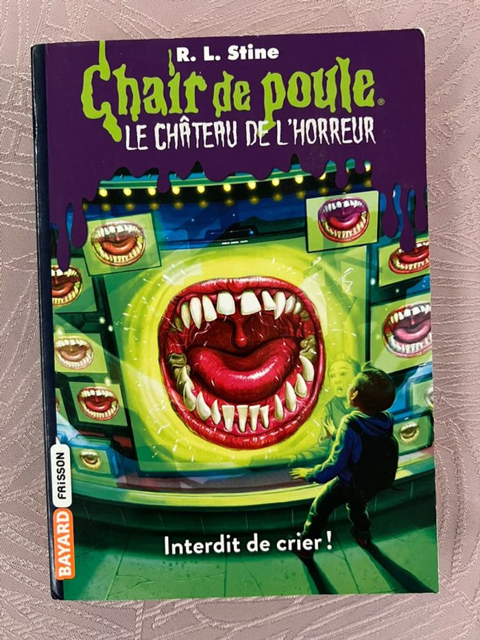 5 livres chair de poule tome 1.2.3.4.5 - photo numéro 7