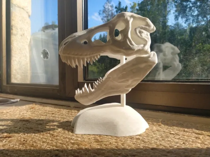 Crâne de T-Rex tyrannosaure Jurassic park - photo numéro 5