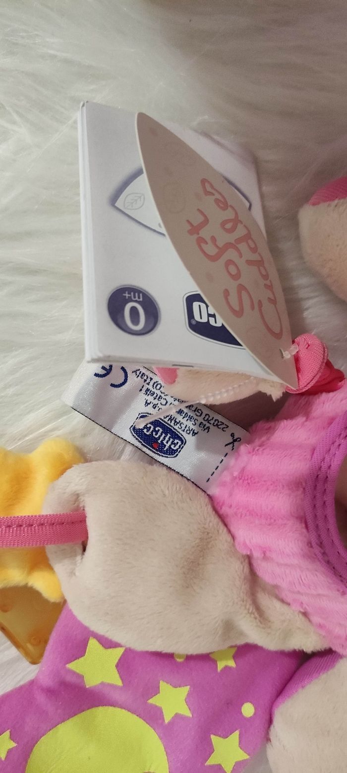 Boite naissance écureuil éveil - photo numéro 4