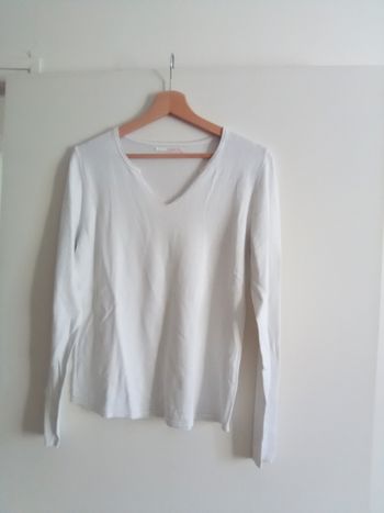 Pull fin camaieu