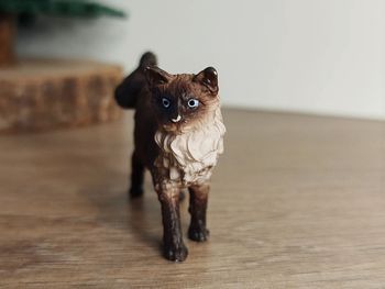 Figurine chat siamois Animal domestique félin Schleich
