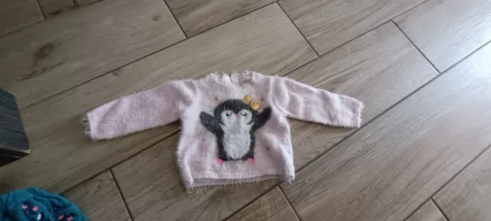 1 pull du pareil au même 12 mois - photo numéro 2