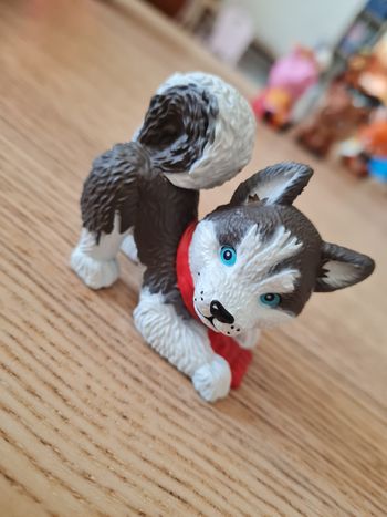 Calendrier Huskie Noël