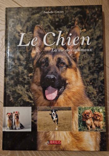 Le chien - La vie des animaux