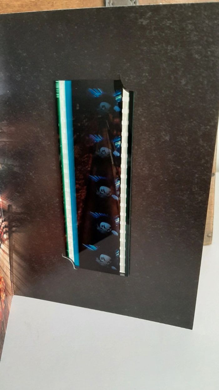 Pellicule Demon Slayer Nezuko manga