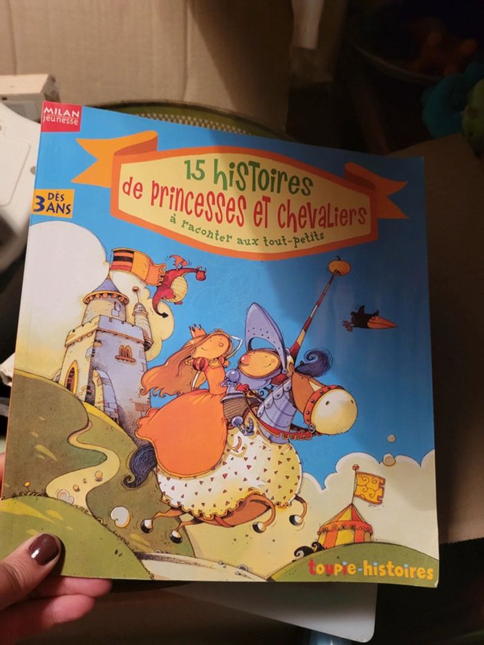 Histoires de princesses et chevaliers