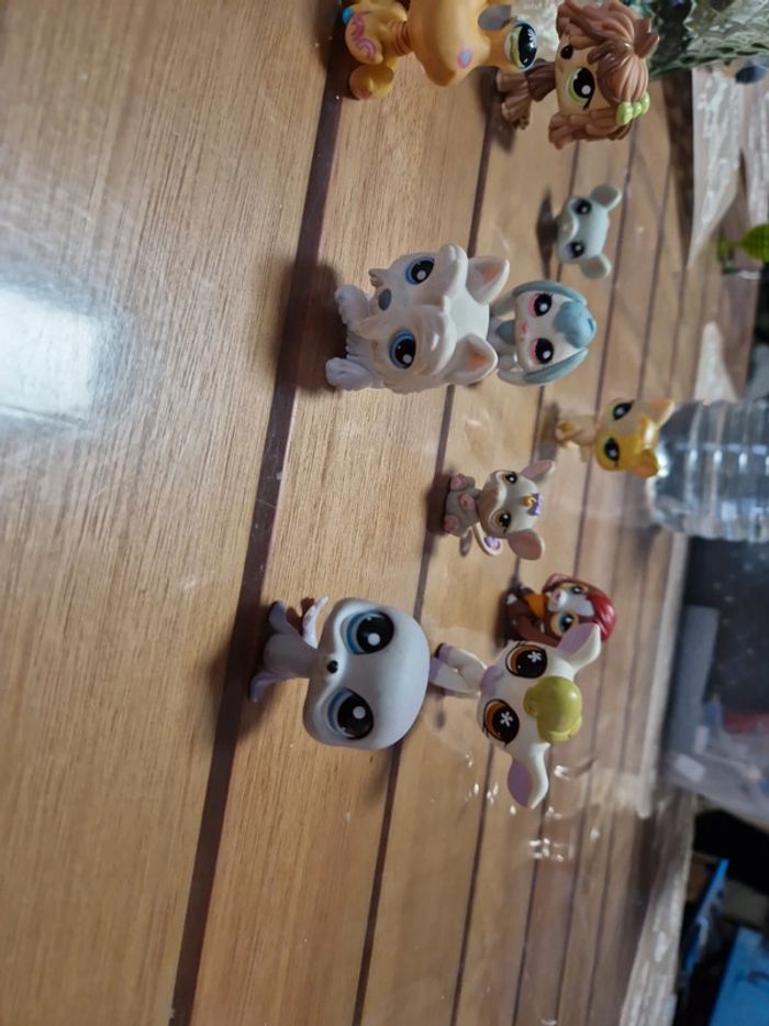 Lot petshop (8) - photo numéro 12