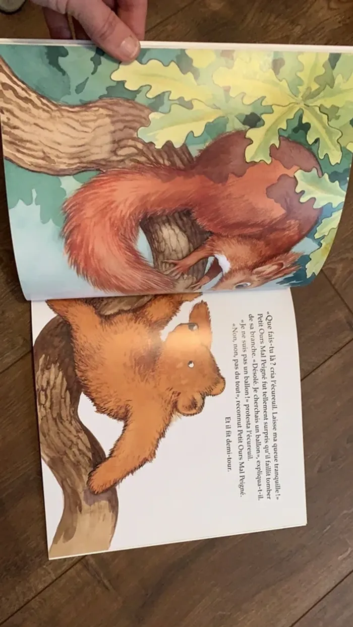 Livre le petit ours mal peigné et le ballon rouge - photo numéro 7