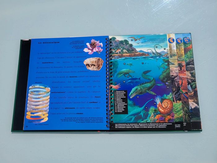 Livre animé de flaps Mi-oiseaux, mi-dragons, les dinosaures, Gallimard Jeunesse (47) - photo numéro 12