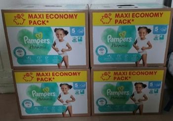 Couches pampers harmonie T5