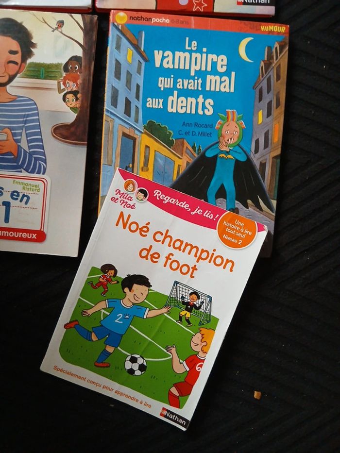 Livres apprentissage lecture - photo numéro 13
