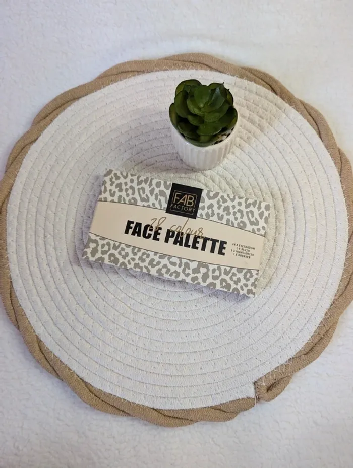 🐆 Palette visage 30 couleurs – Fab Factory