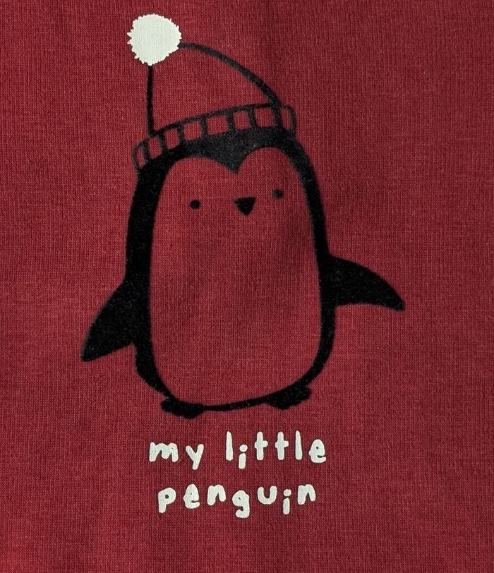 Pull pingouin - photo numéro 2