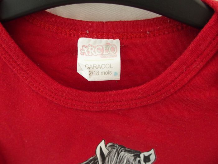 Body cheval Camargue - photo numéro 4