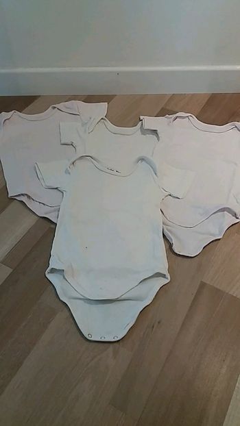 Lot 4 bodies