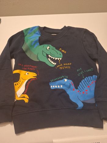 pull dinosaure 8 ans