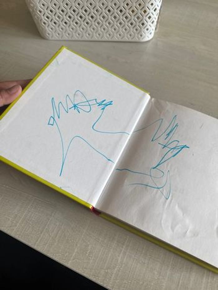 Livre - photo numéro 2