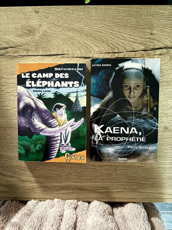 Lot de Livres pour Ados