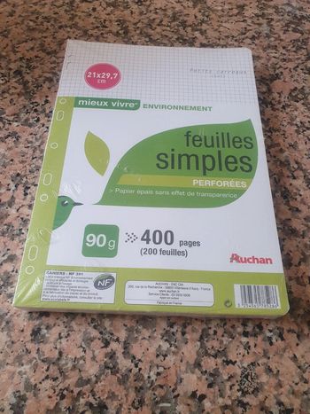 Paquet de 200 feuilles simples perforées petit carreaux 21x29,7