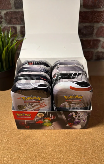 Pokémon - Display Mini Tins Foudre Noir EV10.5