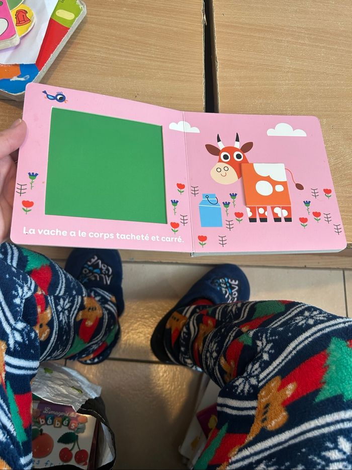 lot de livre +25 livres - photo numéro 7