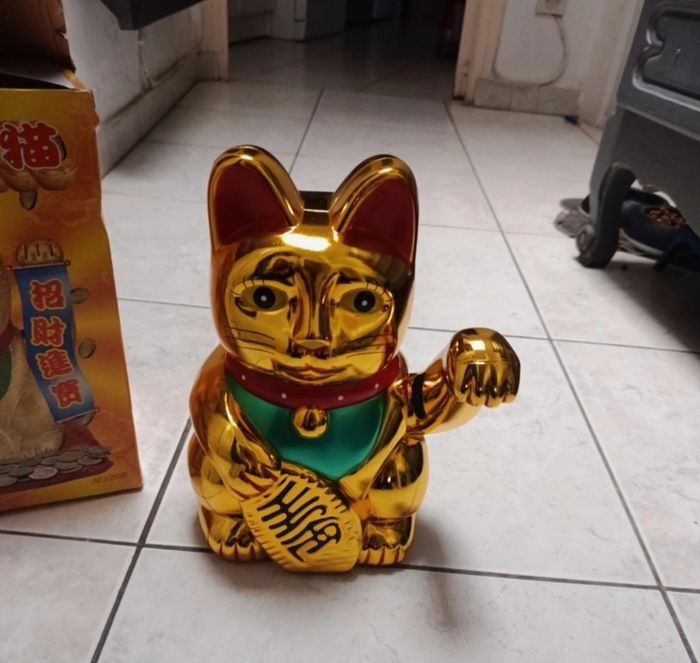 Très grand chat chanceux - photo numéro 4