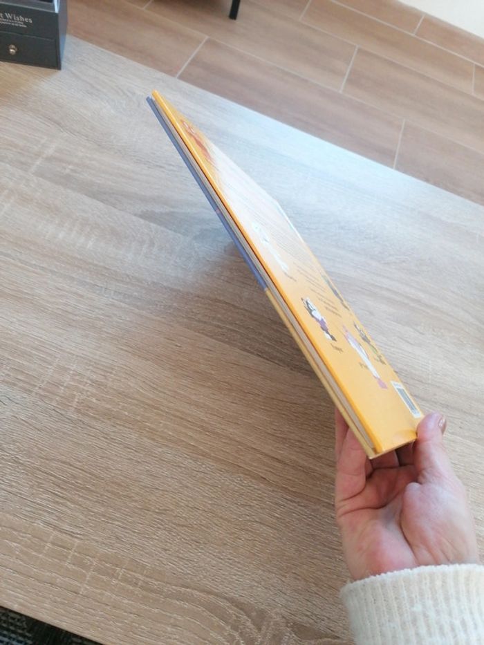 Livre les chatons savants petits chimistes - photo numéro 3