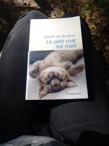 Le petit chat est mort