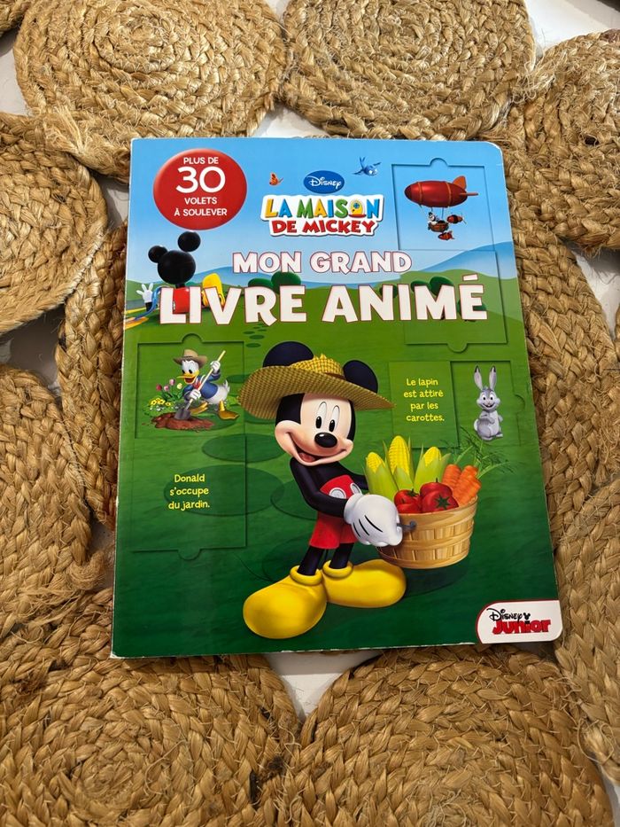 Livre Mickey - photo numéro 3