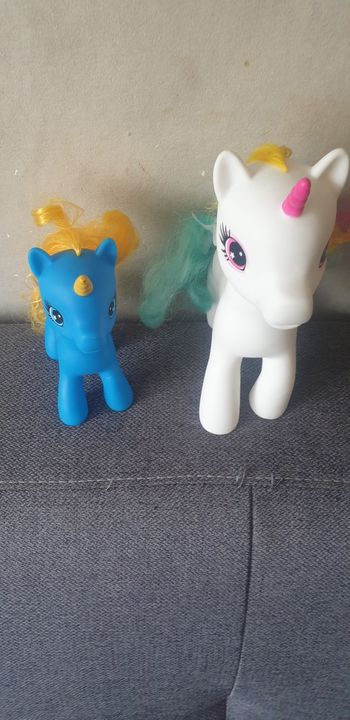 2 petits poneys