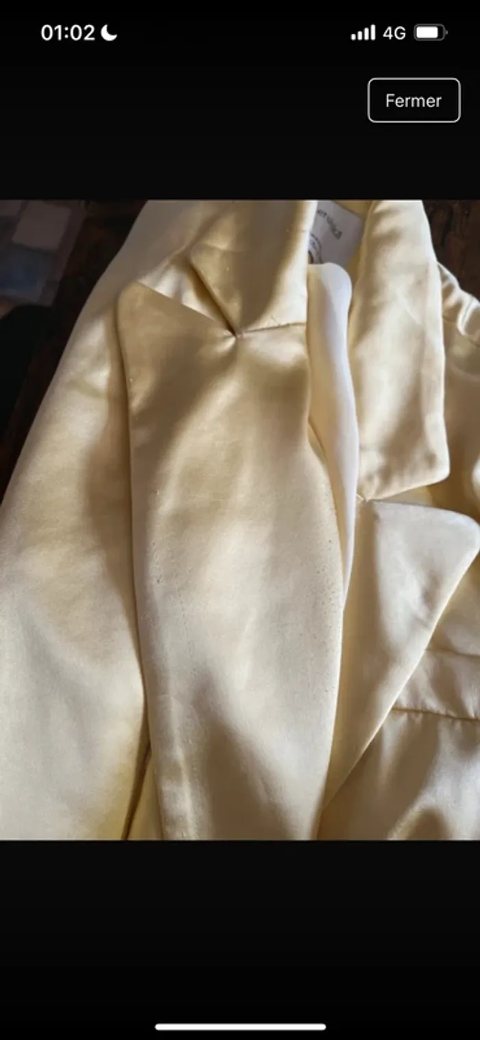 Blazer - photo numéro 2