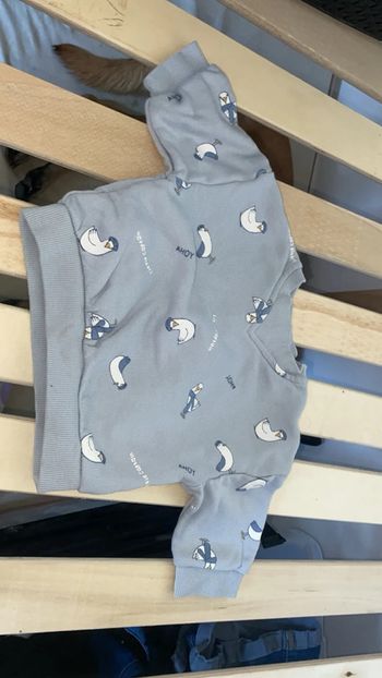 Pull bébé