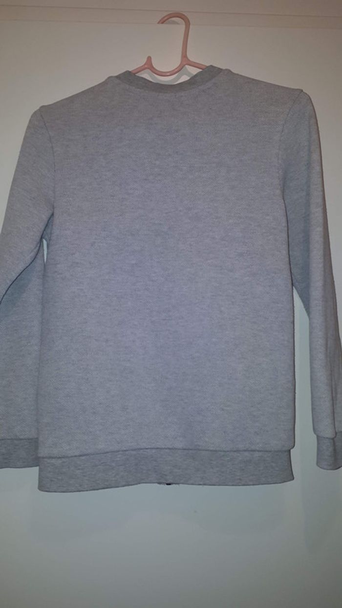 Sweat garçon gris 12 ans - photo numéro 2