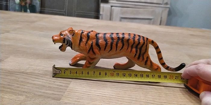 Tigre - photo numéro 3