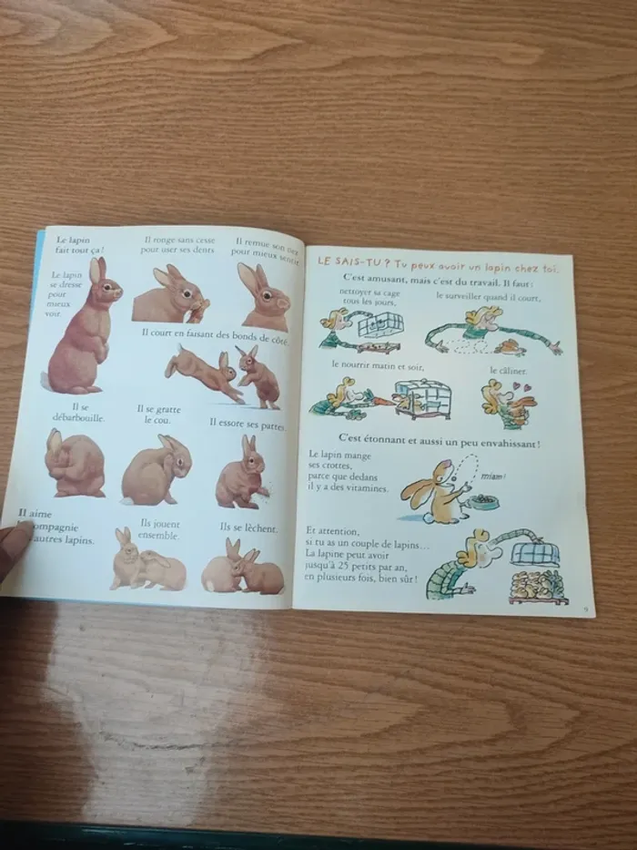 Livre youpi l'attaque du château Fort - photo numéro 10