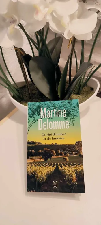 livre Un Été D'ombre Et De Lumière Tome 1 - Delomme Martine comme neuf