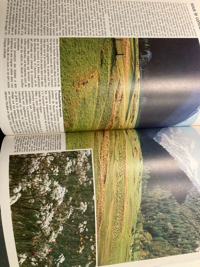 Encyclopédie bordas - photo numéro 3